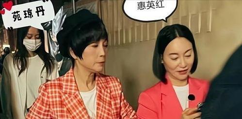 港星搞笑爆料大全图片视频,笑料百出，经典瞬间回顾